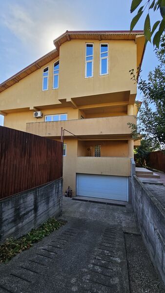 Titan, Nicolae Grigorescu,