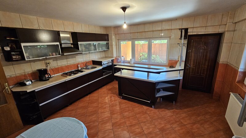 Titan, Nicolae Grigorescu,