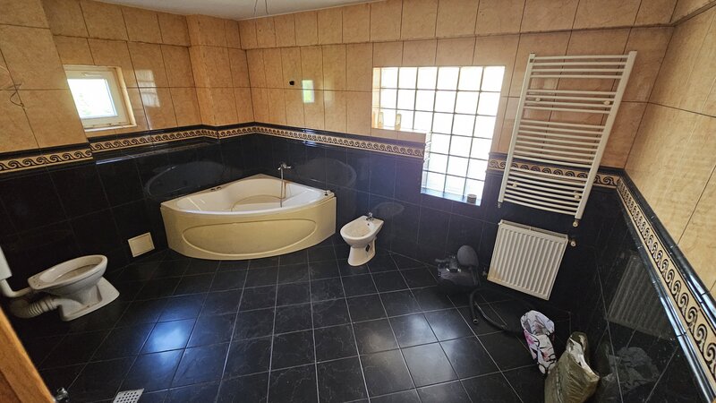 Titan, Nicolae Grigorescu,